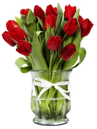 Red Tulip