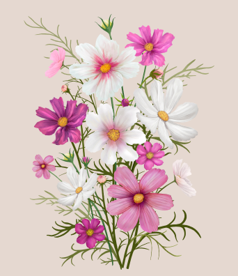 Cosmos